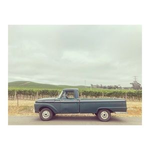 Meet your Posher, Beau